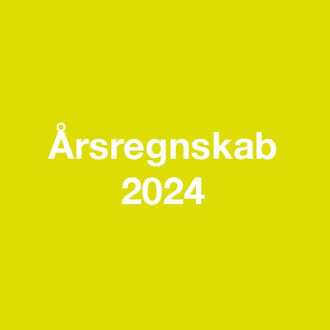 Årsregnskab 2024